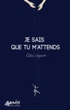 "Je sais que tu m'attends" le dernier roman de Gilles Laporte