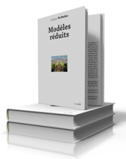 "Modèles réduits" de Jacques De Decker