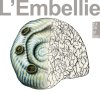 "L'embellie" une exposition Galand & Comblain au Daily Bul